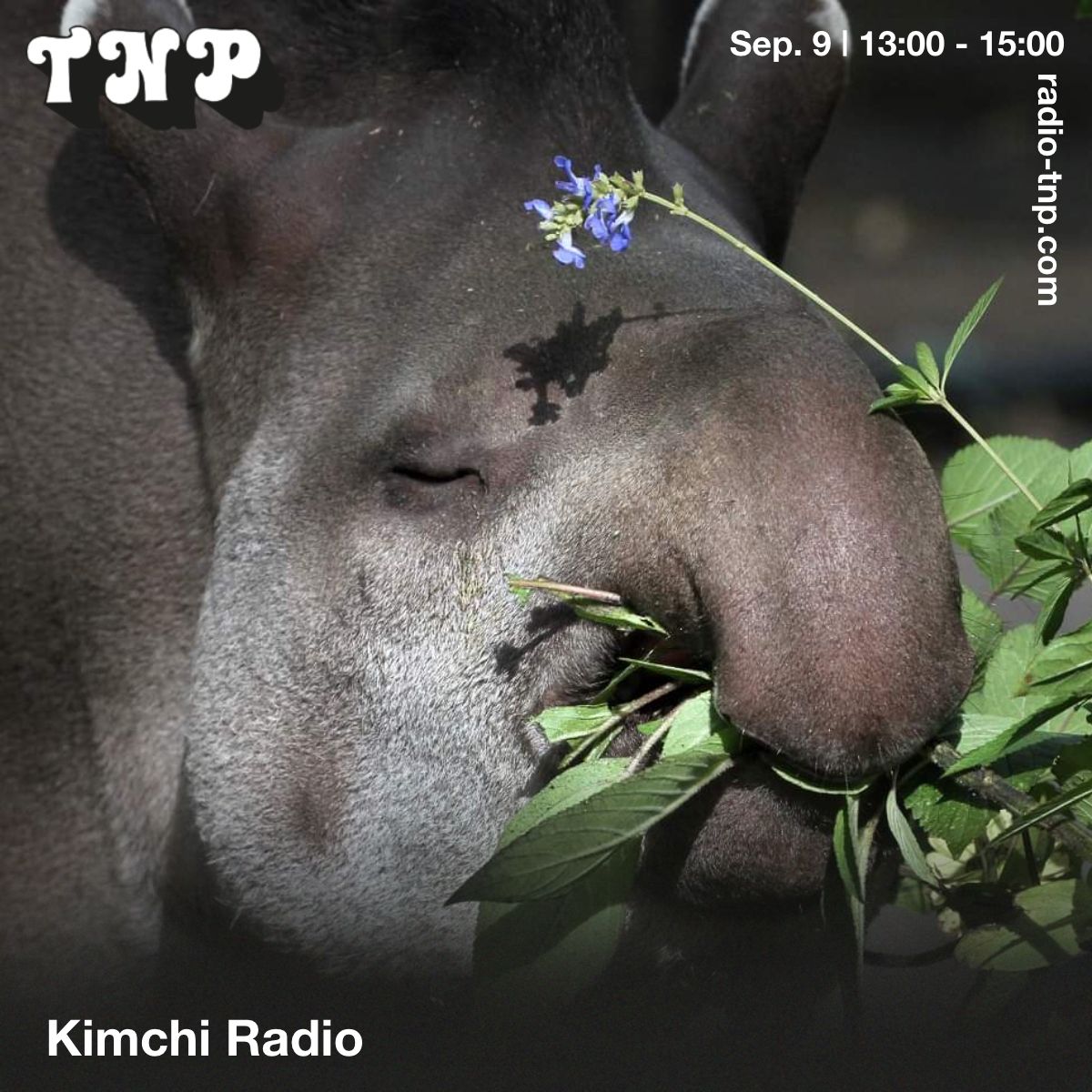 Kimchi Radio