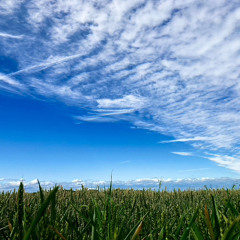 Strangers in the cloud