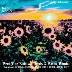 Feed The Void w/ Birds & Ambu Bambu- 27th August 2024