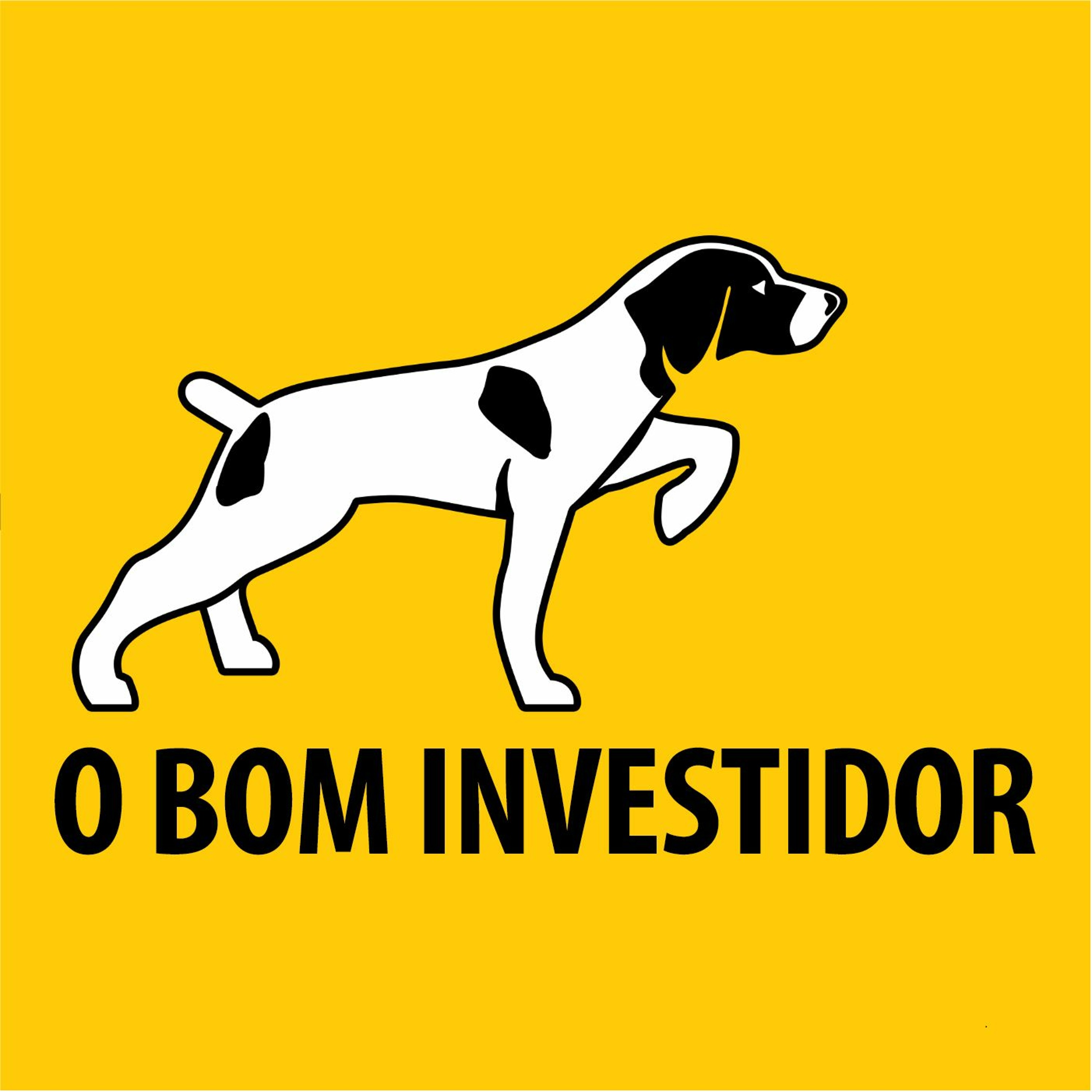 O Bom Investidor #10 - Multiplos Pelo Preço.