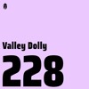 Bassiani invites Valley Dolly / Podcast #228 DJ mix artwork - Electronic music tracklist cover image