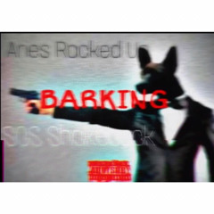 Aries Racked Up x SOS Shakeback - Barking (Official Audio) 2