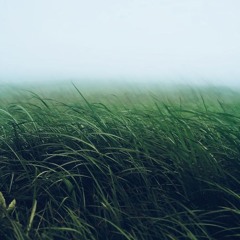 NGƯỢC GIÓ | ft Minh Tốc & Lam