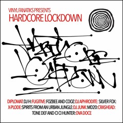Vinyl Fanatiks Hardcore Lockdown Mix By DJ Junk