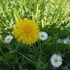 а я жду тебя дома