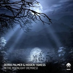 TRANCE RELEASE || Derek Palmer & Hidden Tigress - In The Moonlight (Alan Santy Remix)