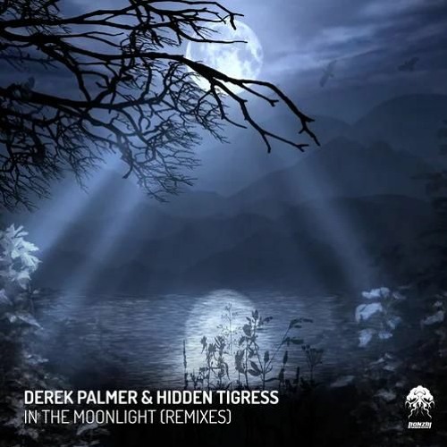 TRANCE RELEASE || Derek Palmer & Hidden Tigress - In The Moonlight (Sergey Lagutin Remix)