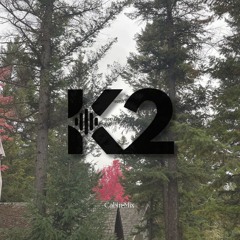 Cabin Mix (Melodic Dubstep - Ft. Illenium, Wooli, Excision + More)