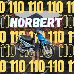 110