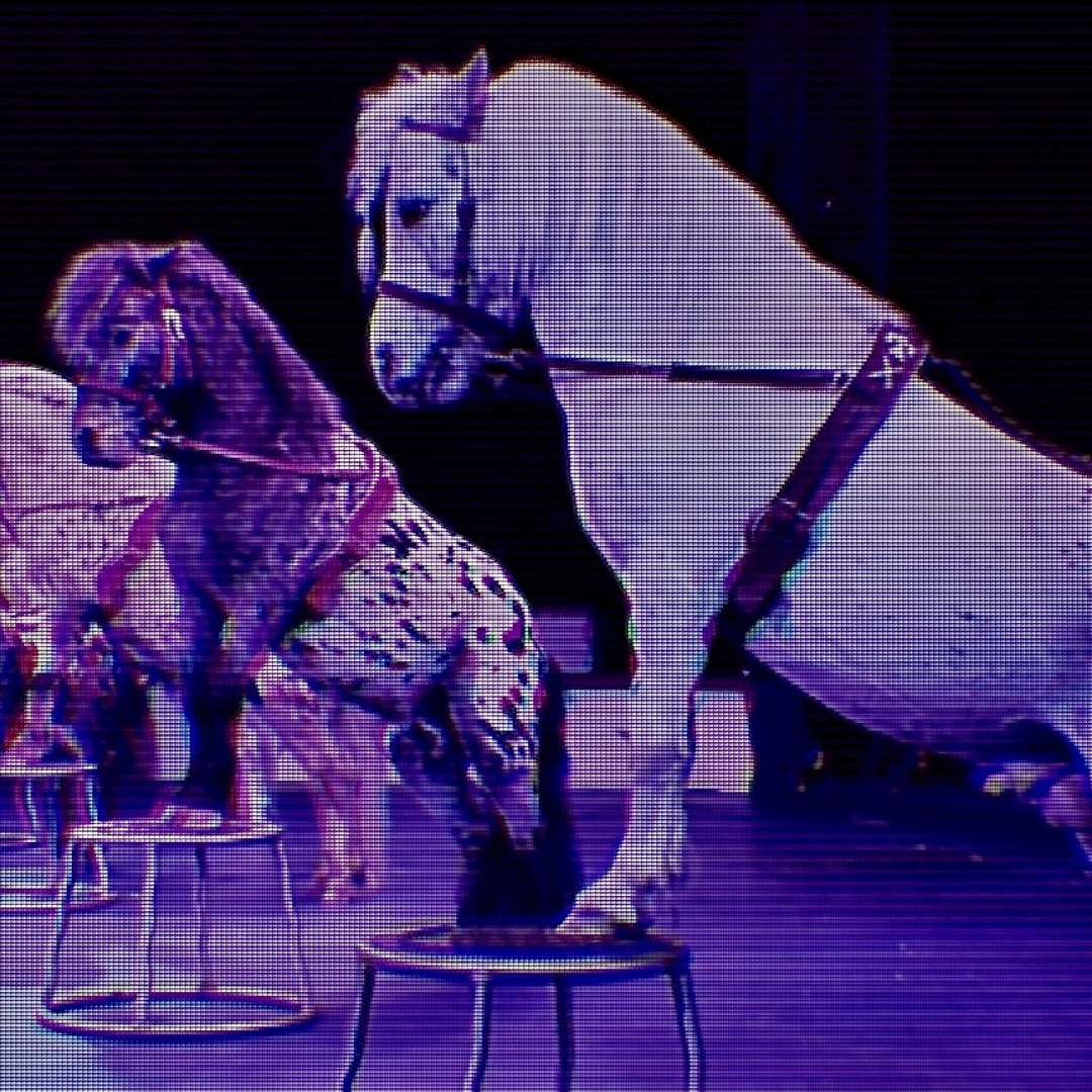 Stream サーカスナイト(COVER of 七尾旅人 ) by ass_atte | Listen