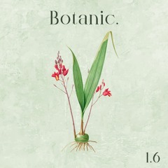 Botanic Sprout - 1.6 - Rnn