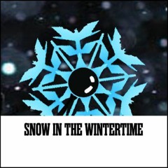 Snow In The Wintertime