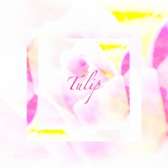 Tulip