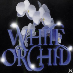 WHITE ORCHID