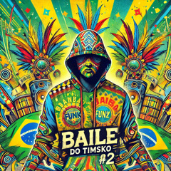 🇧🇷 BAILE DO TIMSKO #2 🇧🇷