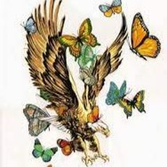 Fly Like An Eagle, Fly like a butterfly