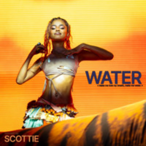 WATER (feat. Tyla) [scottie remix]