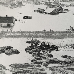 53 Floods  BBC Archive East Anglia & Holland from the air Commentary Charles Gardner