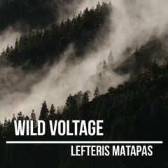 Wild voltage