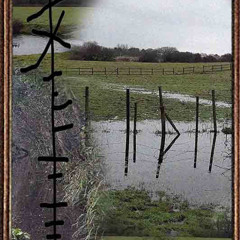 BBPUTIN (BLOODYBAY) - META