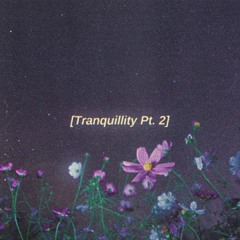 Tranquillity Pt. 2 - lofi hip hop beat (FREE FOR PROFIT USE)