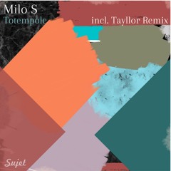 Milo S - Totempole (Tayllor Terrace Remix)