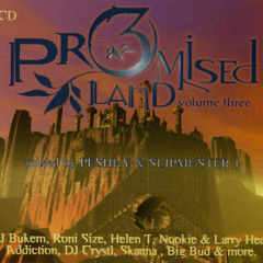 Peshay - Promised Land vol 3 (1997)