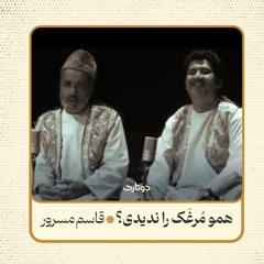 همو مُرغَک را ندیدی؟.mp3