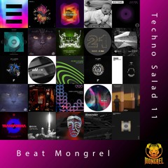 Techno Salad 11