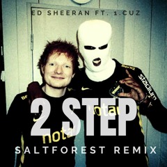 Ed Sheeran - 2step (feat. 1.Cuz) - Saltforest Remix