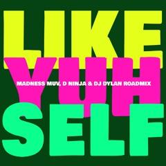 Like Yuh Self - Madness Muv, D Ninja, DJ Dylan Roadmix