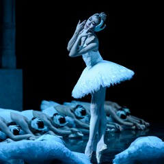 Le Lac des cygnes (saison 22/23)- Acte2 (Finale)