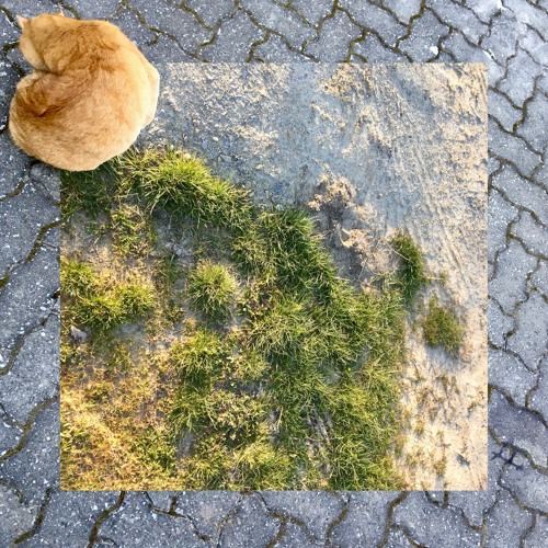 April 2020 (Wüste)