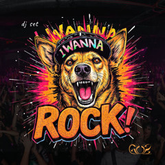 I Wanna Rock - DJ Set