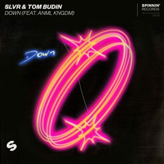 SLVR & Tom Budin – Down (feat. ANML KNGDM) [OUT NOW]
