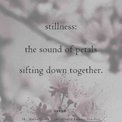 sifting down together (naviarhaiku571)