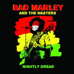 Satisfy My Soul - Cover by Hayley Gaftarnick