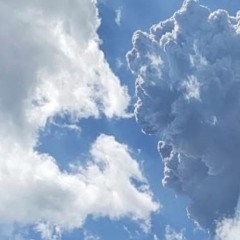 Eleanor Rigby - ObNoXiOuS (Unmastered Preview)
