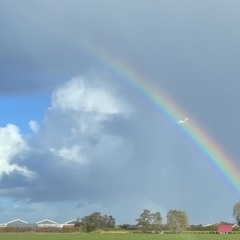 Rainbowseason