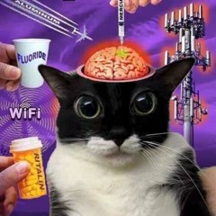 Adderall for me and Katy M (prod. wisa) 💊📓