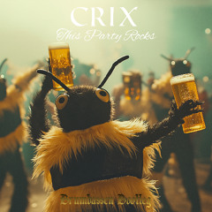 Crix - This Party Rocks [Brumbassen Bootleg]