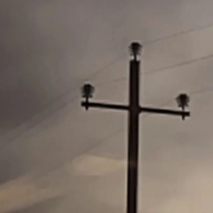 belmont girl - call it a day