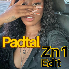 Padtal Zn1 Edit (hit download button 4 full version)
