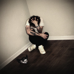 PANIC ROOM (FREE DOWNLOAD)