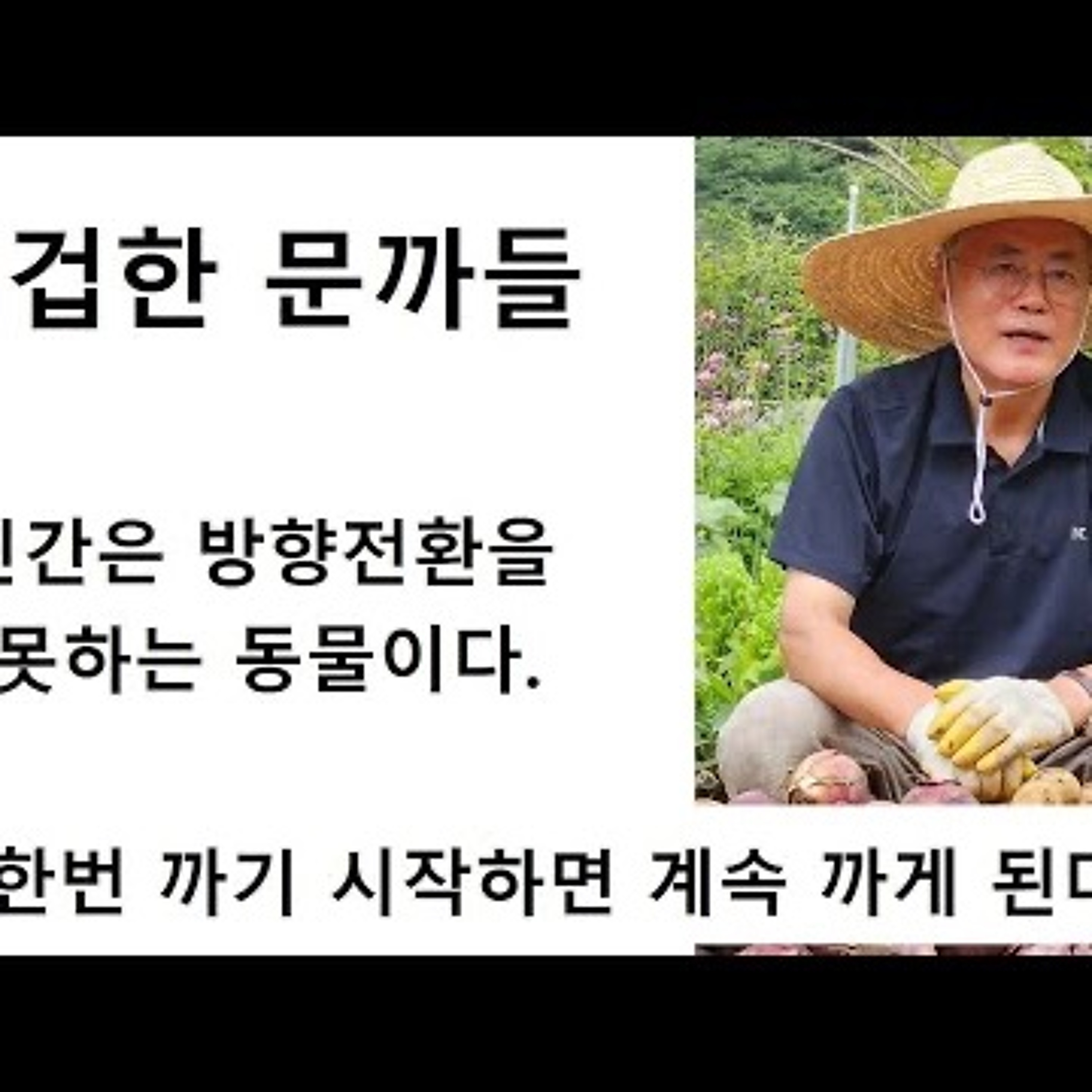 2024-09-05 비겁한 문까들 한번 까기 시작하면 계속 까게 된다 episode artwork