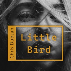 Little Bird