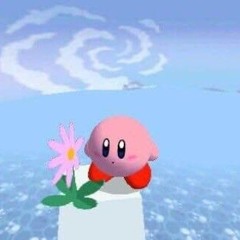goodbyesolace - kirby