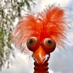 "Veist tu, hvat tað kostar?"