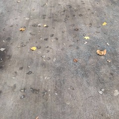 Sun Still (against interpretation)