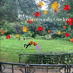 Community Gardens